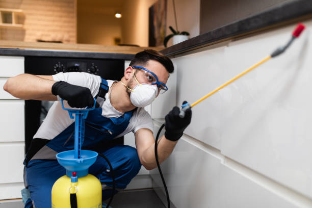 Best Exterminator Services  in South Lockport, NY