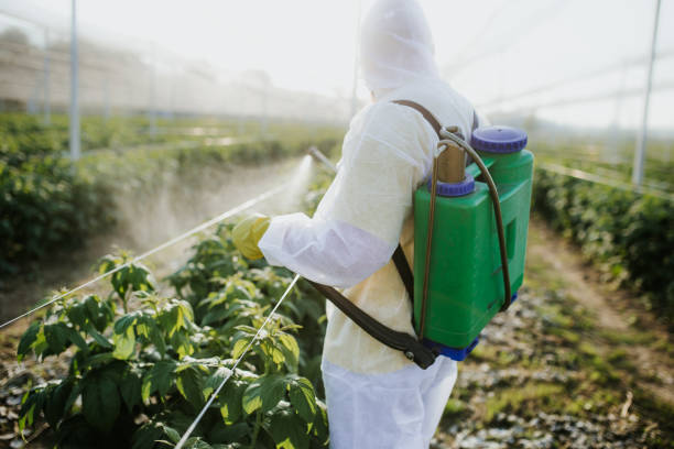 Best Pest Control Near Me  in South Lockport, NY